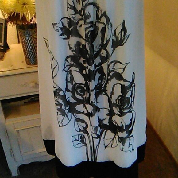 Connected Sheer With Roses Shift Dress - Picture 2 of 12